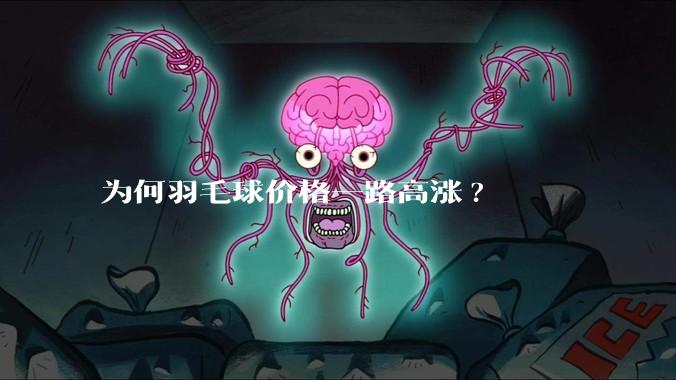 为何羽毛球价格一路高涨?