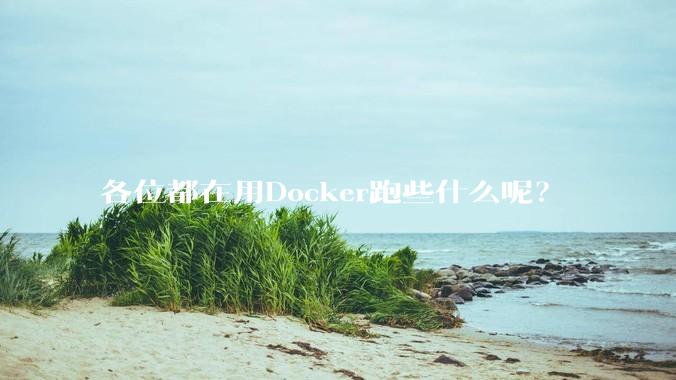 各位都在用Docker跑些什么呢？