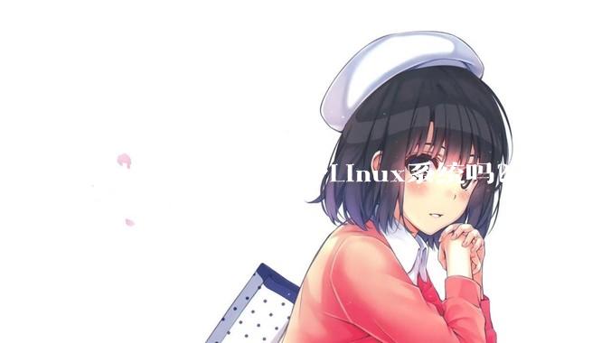 可以随身携带一个Linux系统吗？